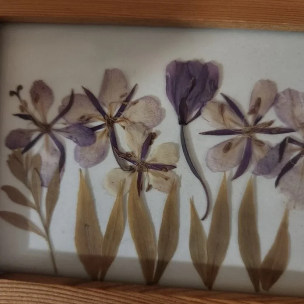 Framed Pressed Flowers Art Botanical‎ Nature Decor Wooden Frame